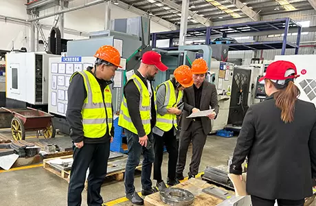 Auditoría in situ de VEM