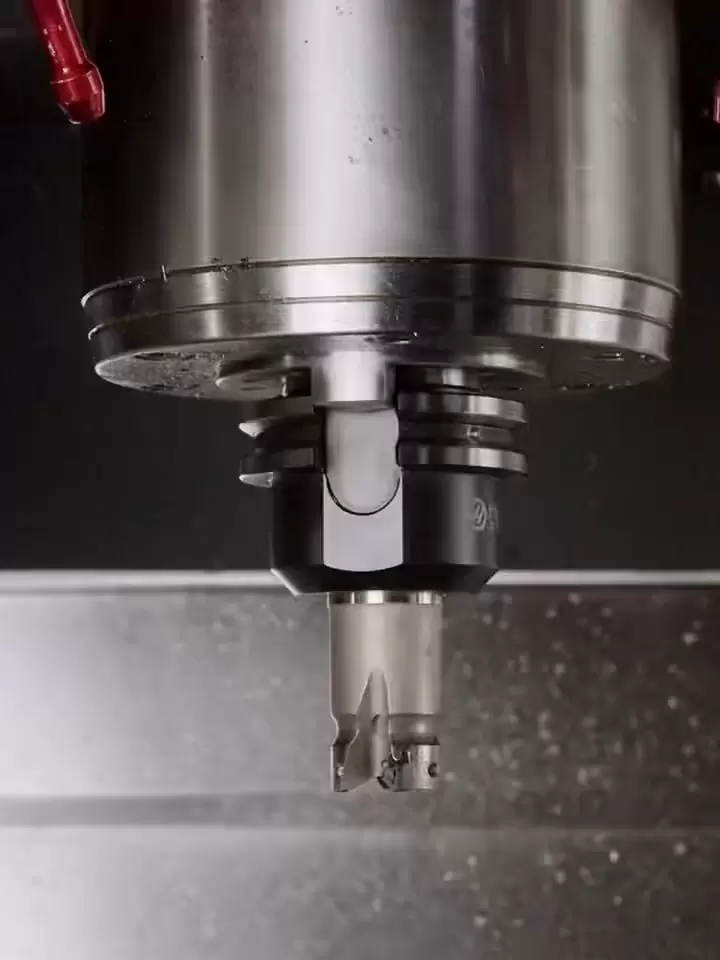 Servicios de molienda